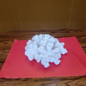 Coastal White Coral Decorative Piece for Coffee Table or Bathroom